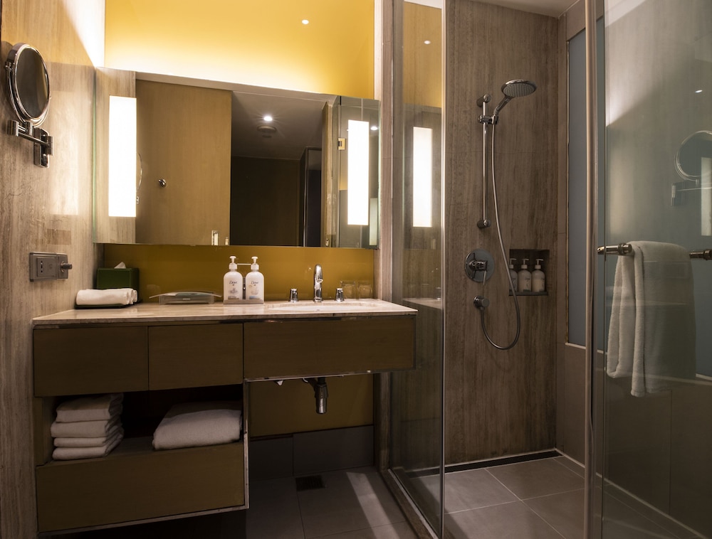 Holiday Inn New Delhi Aerocity by IHG 30/79