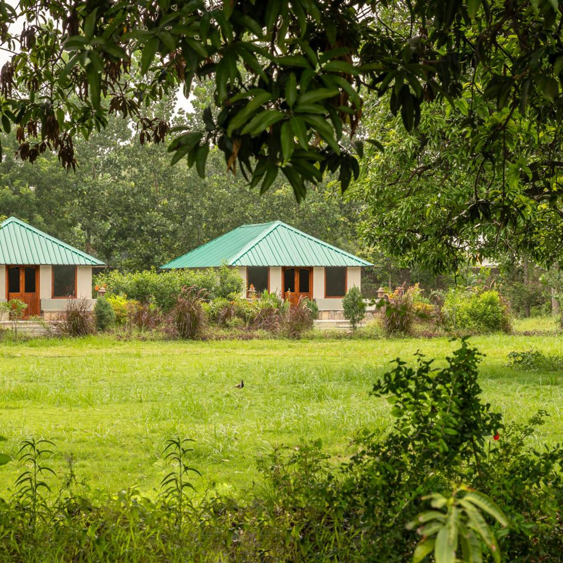 ZANA Forest Resort Ranthambore 60/72