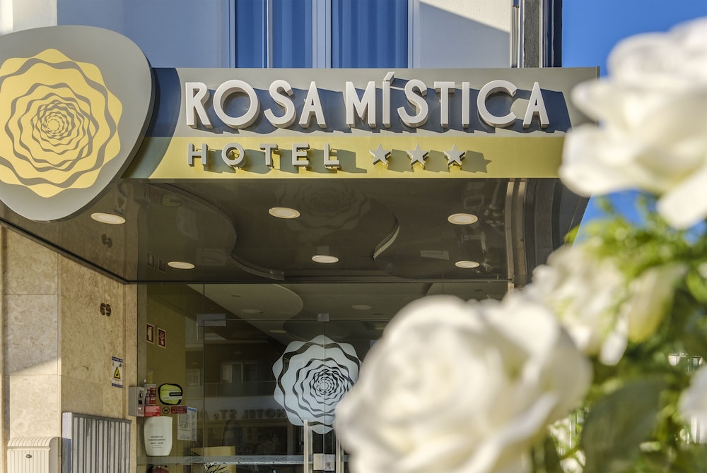 Rosa Mistica 2/48