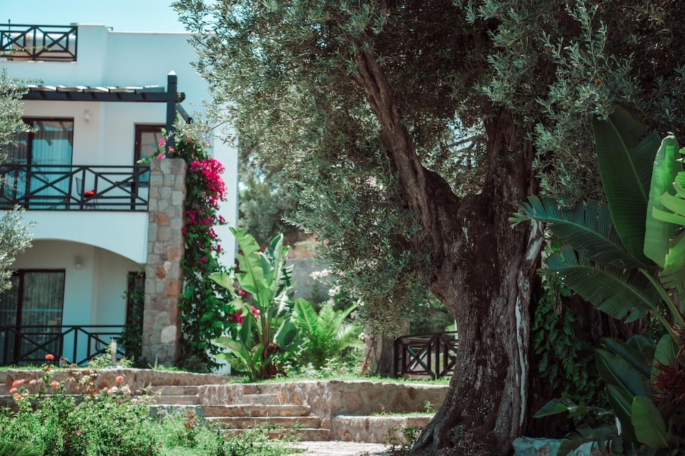 Amore Boutique Hotel 38/50