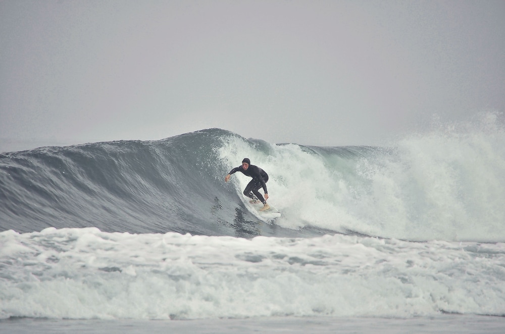 Salty Jackal Backpackers 48/50