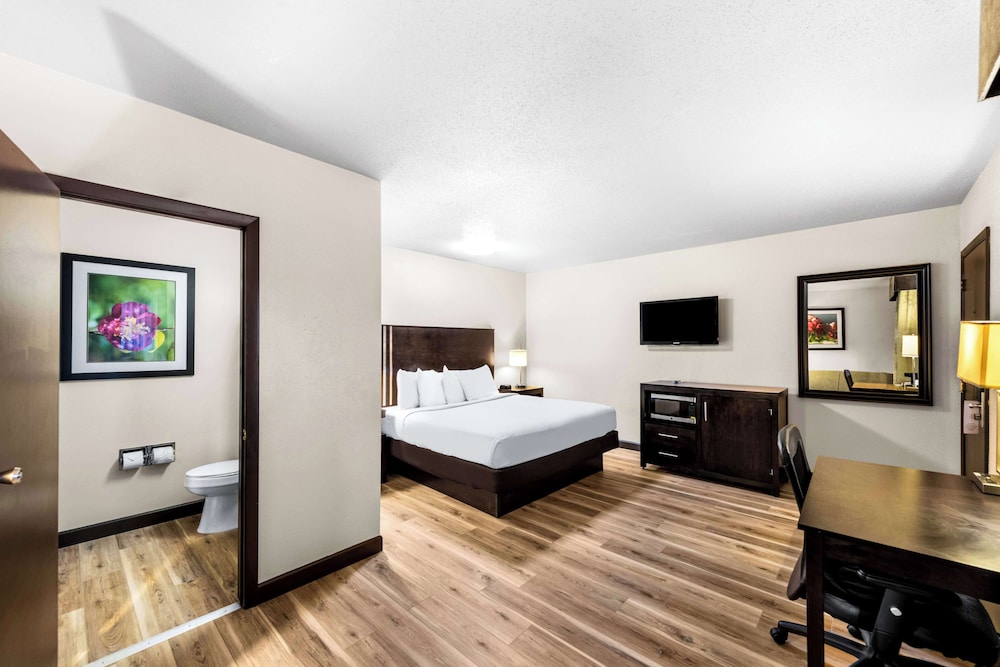 Premium, King Bed, No Elevator