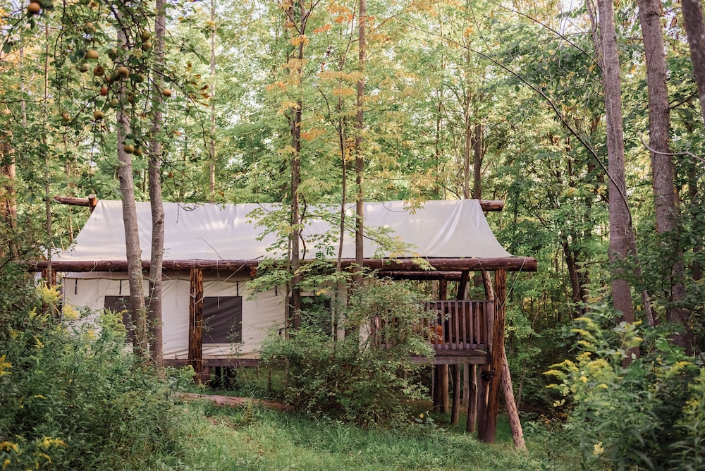 Firelight Camps 38/44