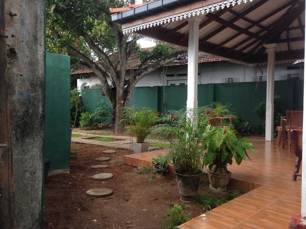 Villahredpalm 15/16