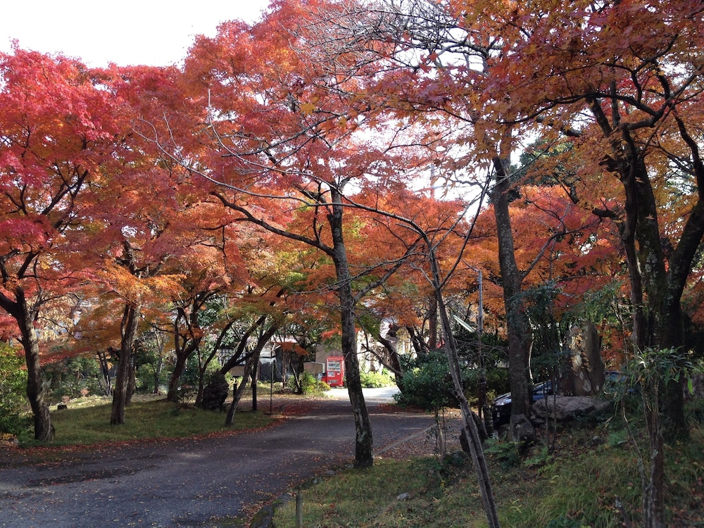 Cultural Property Of Japan Senzairo 47/50
