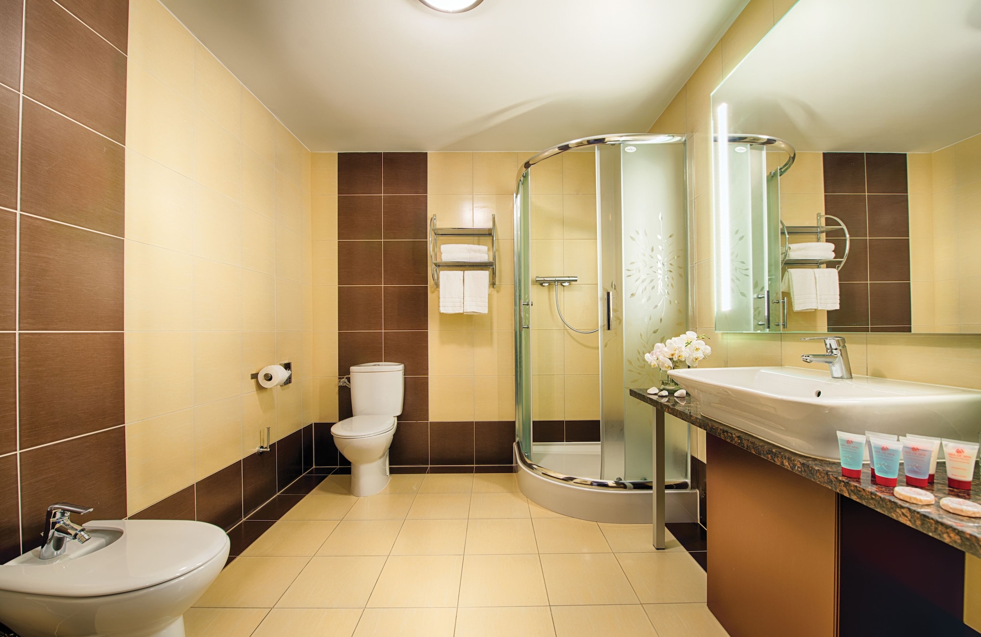 Deluxe, Queen Bed, Leonardo Royal Hotel Warsaw 8/10