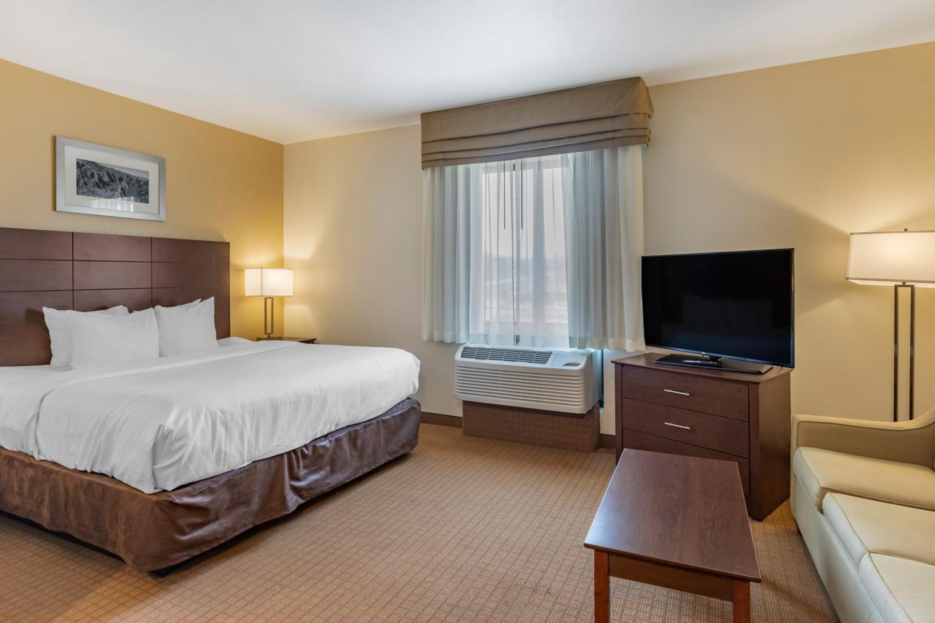 Suite, King Bed, Sofa