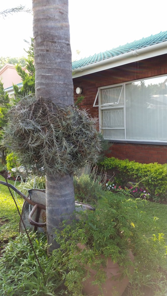 Memra Guest House 41/50