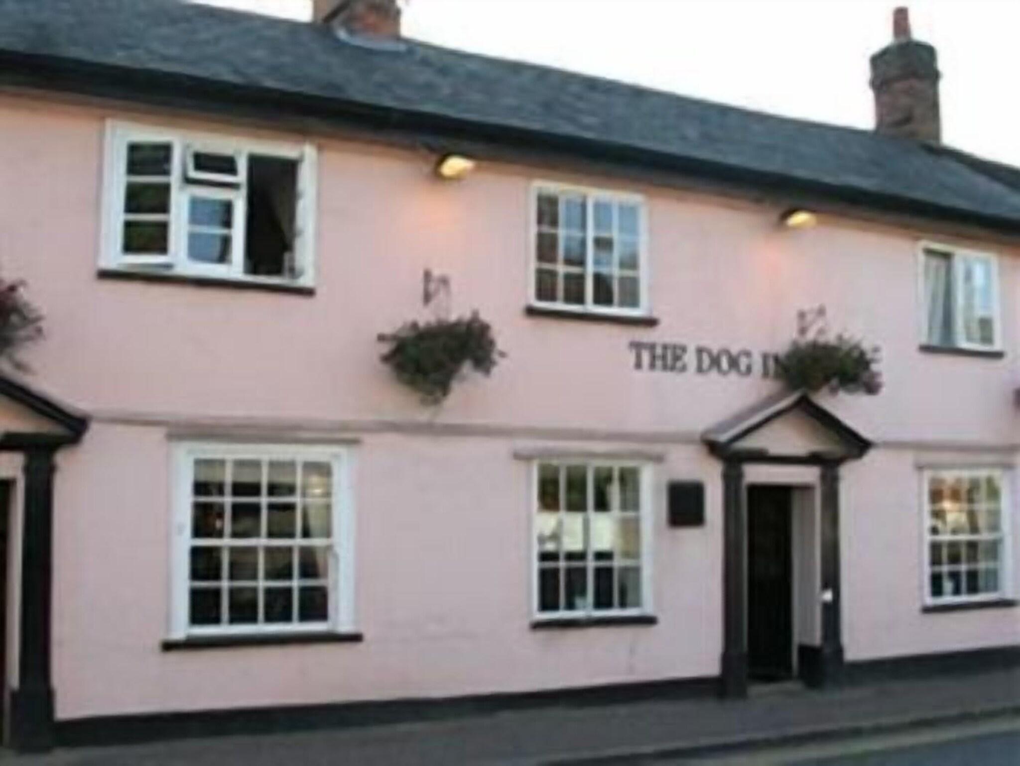 The Dog Inn 1/9