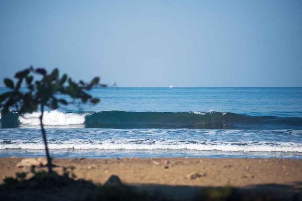 Beach Break Resort 56/75