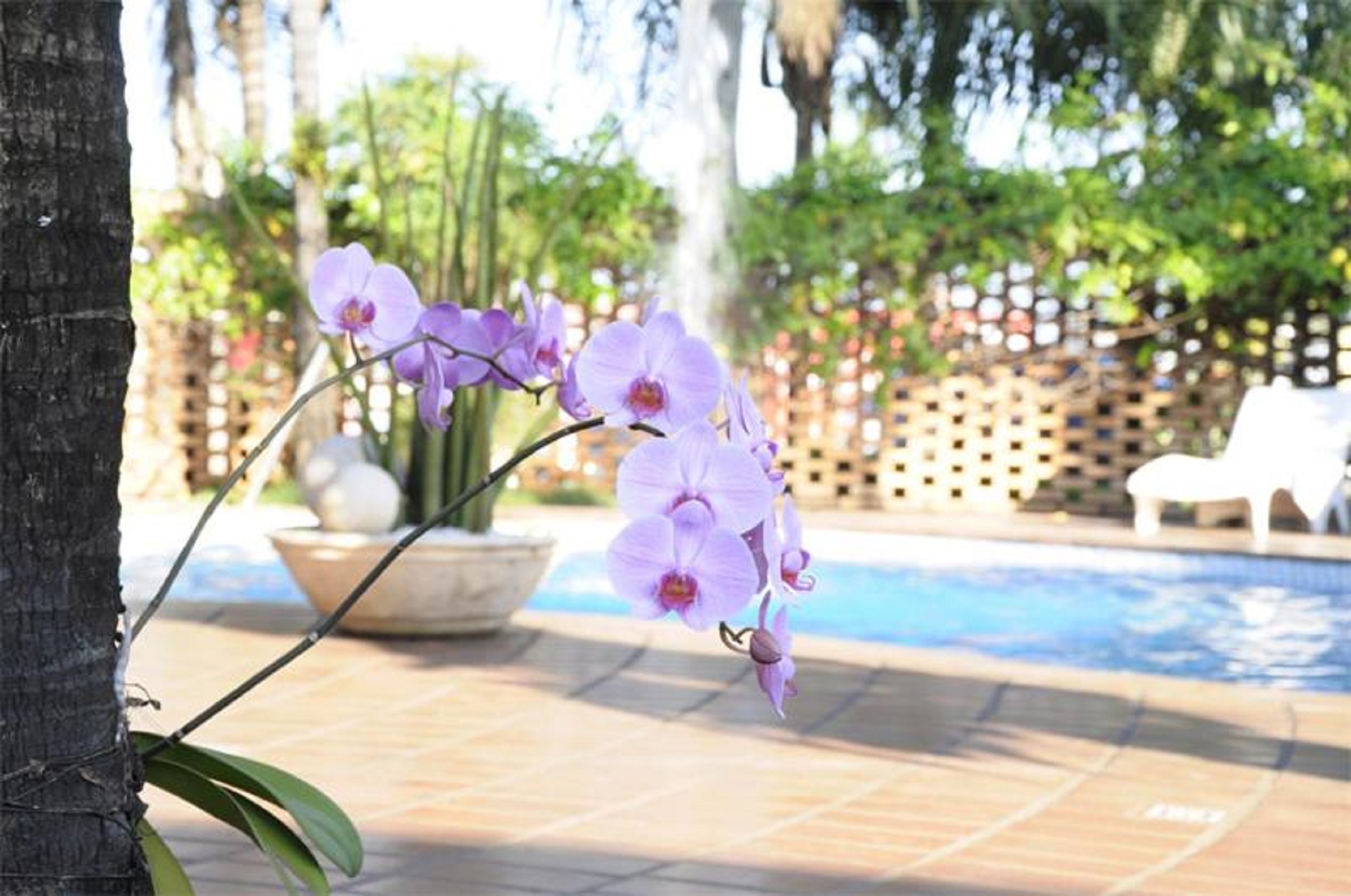 Vila Romana Park Hotel 13/24