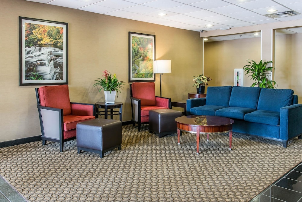 Comfort Suites Wixom - Novi 23/32