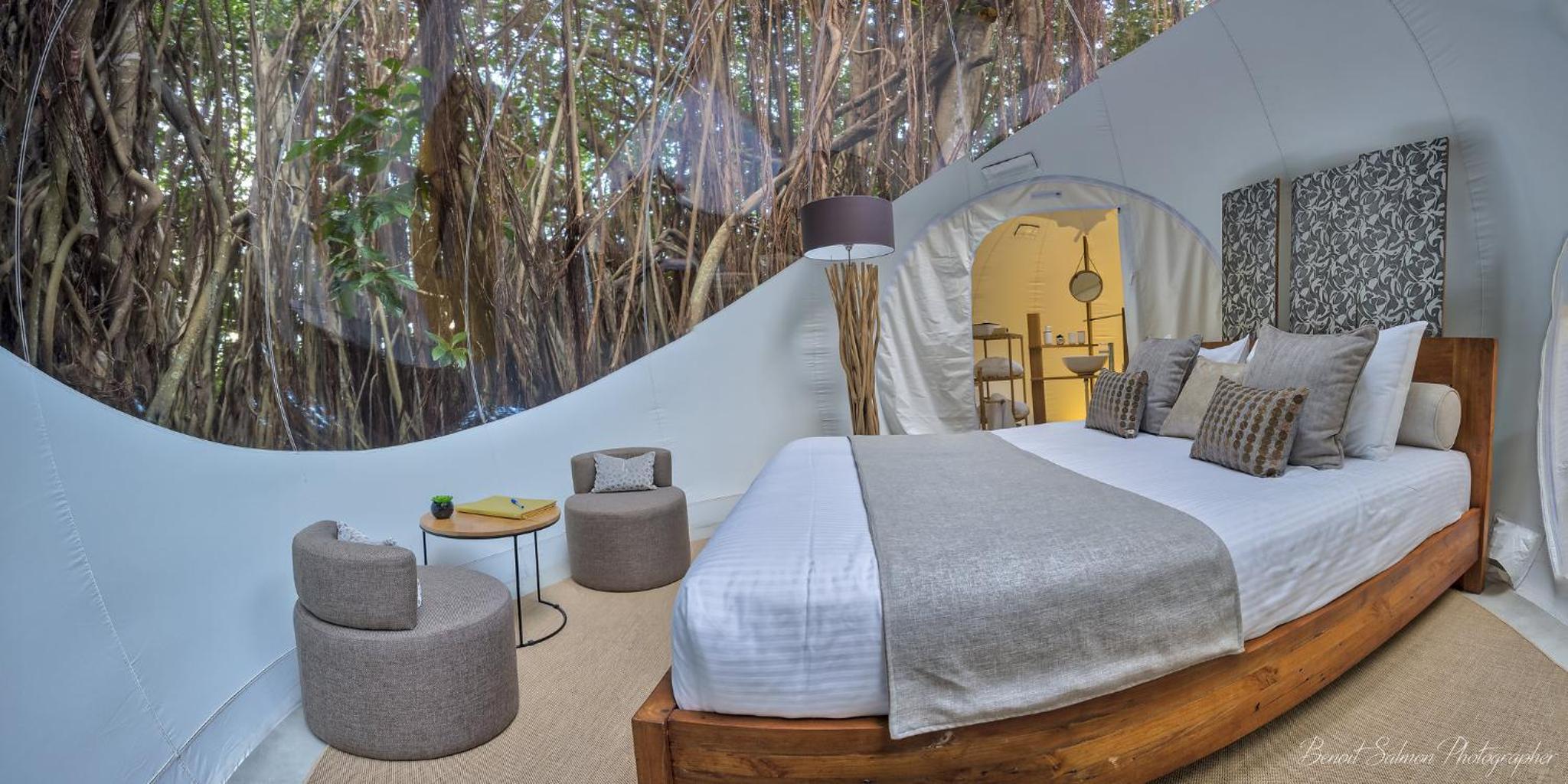 BANYAN, TREE, BUNGALOW