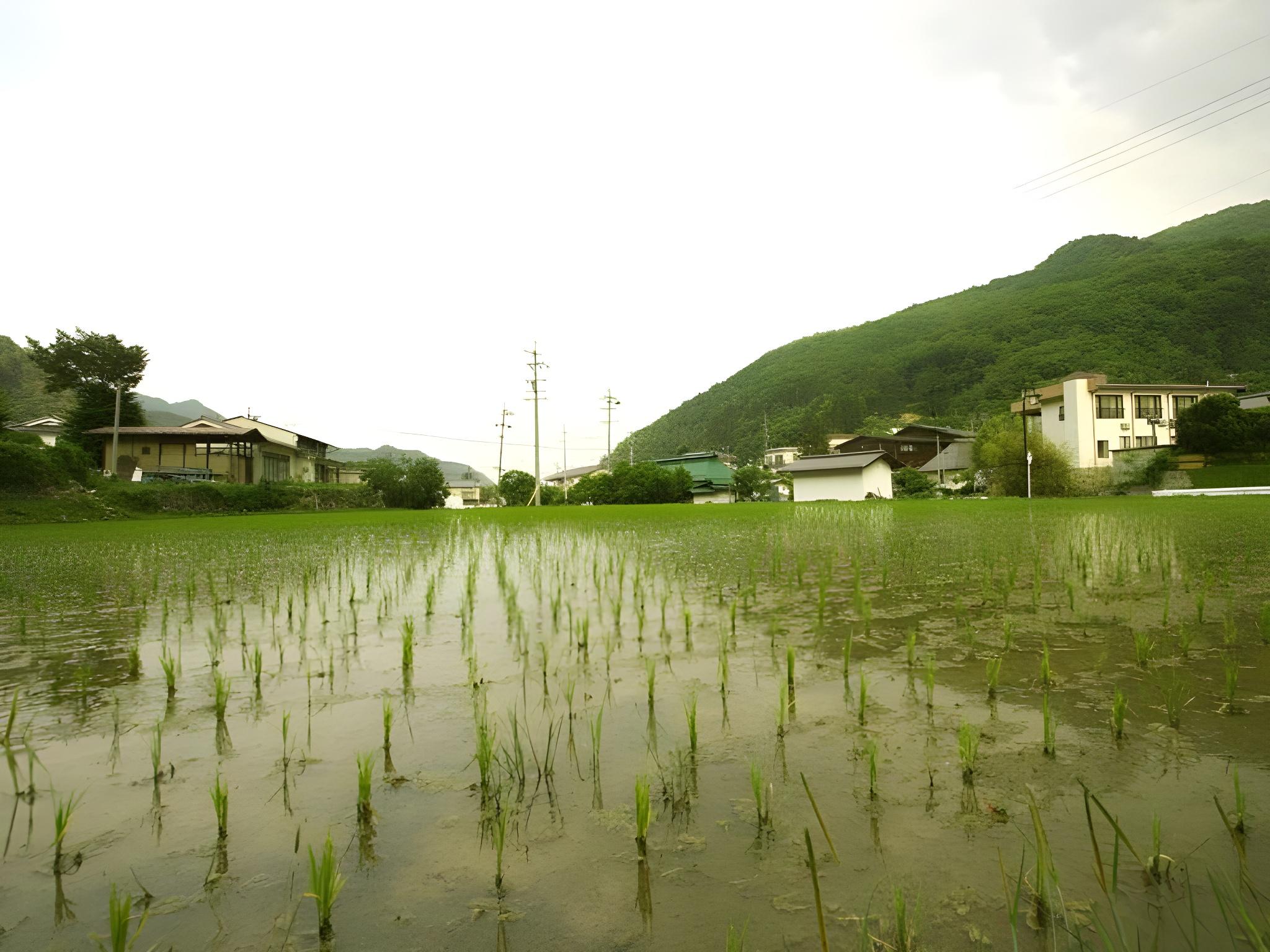 Shinshu Kakeyu Onsen Katsura Ryokan 29/32