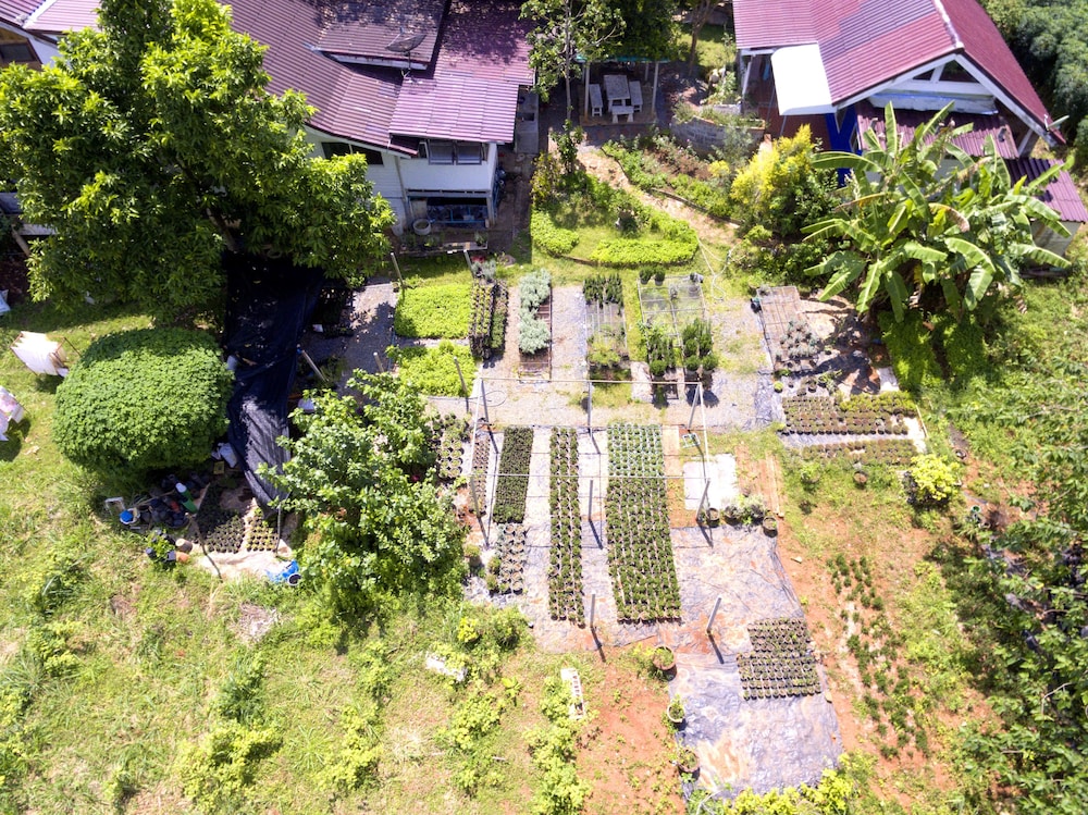Rosemary House 41/50