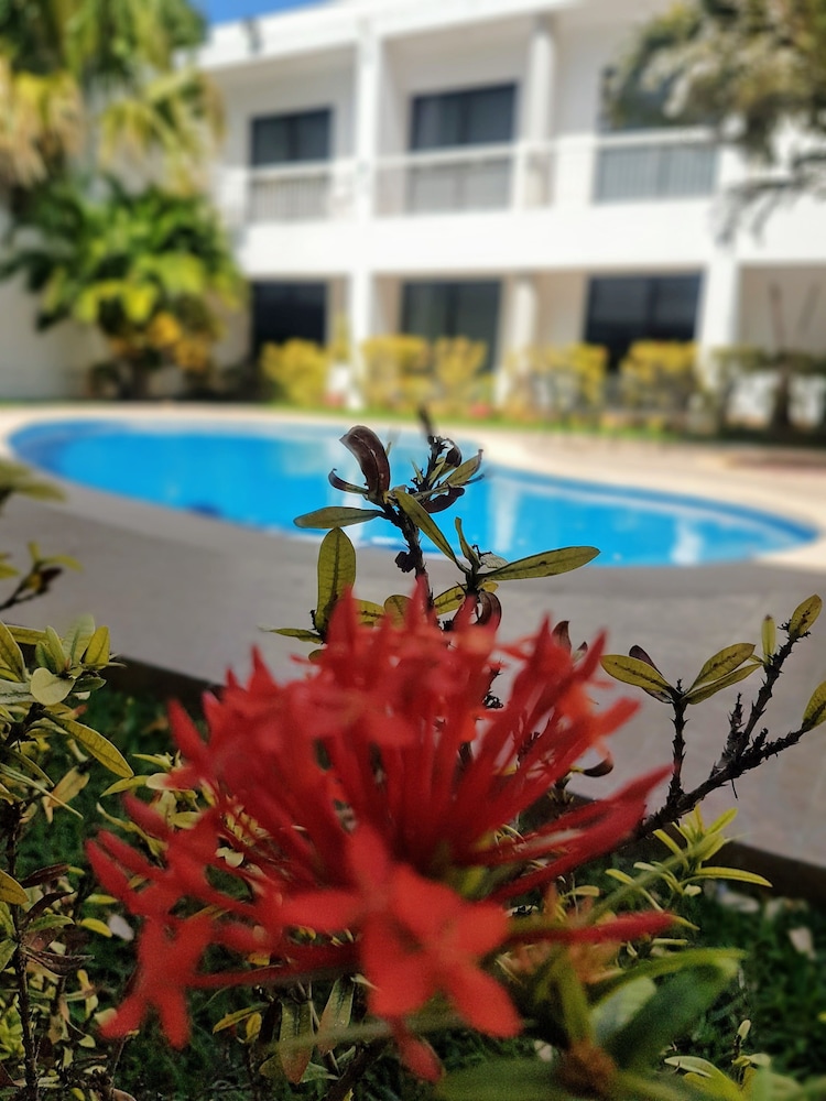 Hotel Holly 45/50
