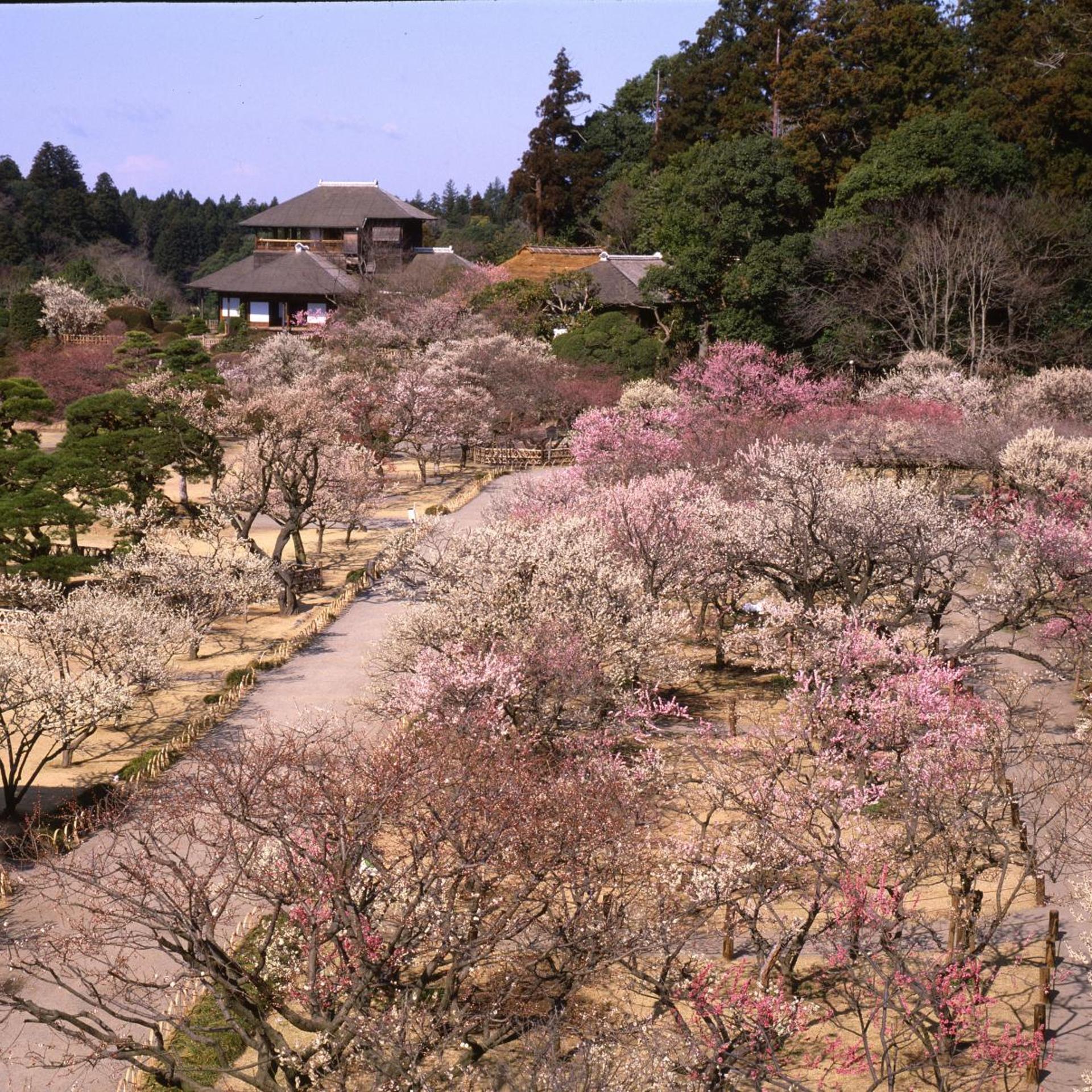 Terrace Inn Katsuta 28/37