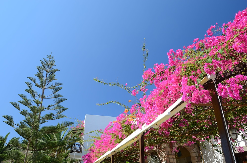 ASTERI HOTEL 28/32