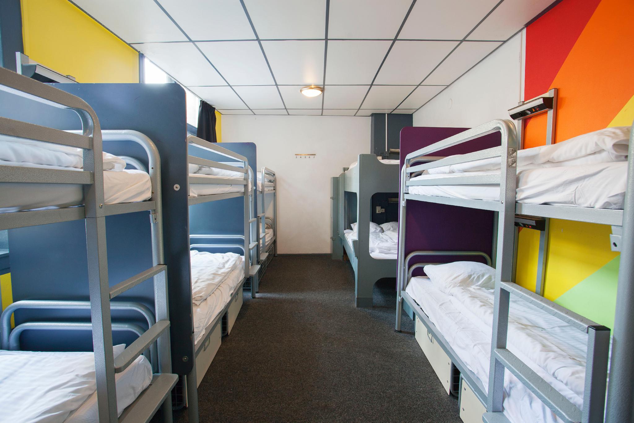 Mixed Dorm, Adult Only