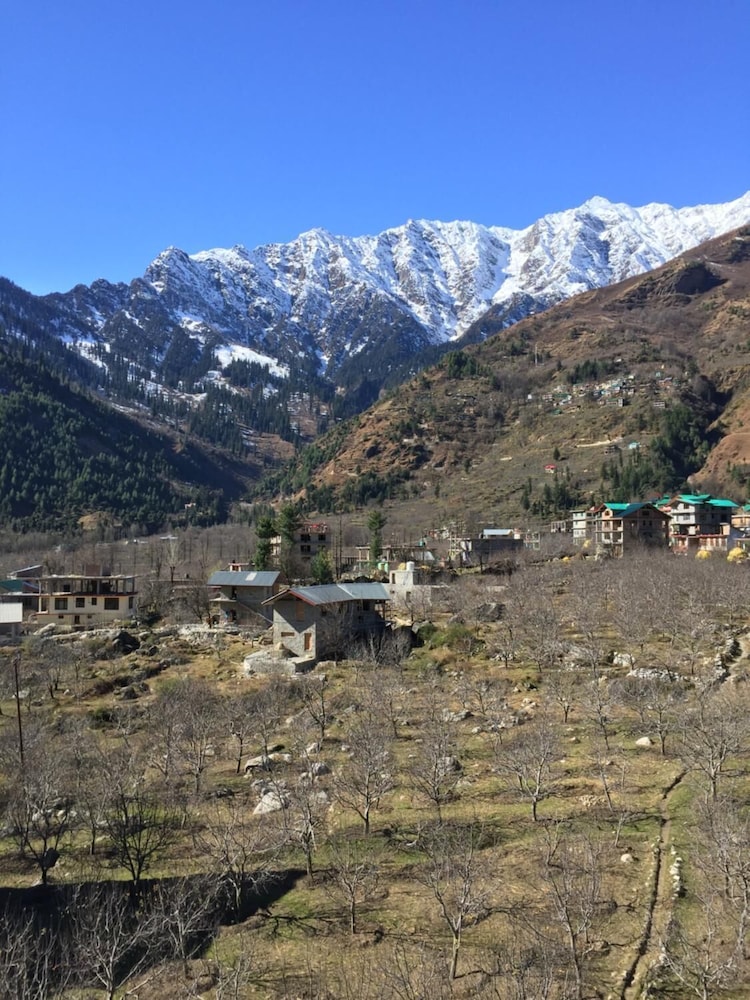 The Katoch Grand Resort 44/50