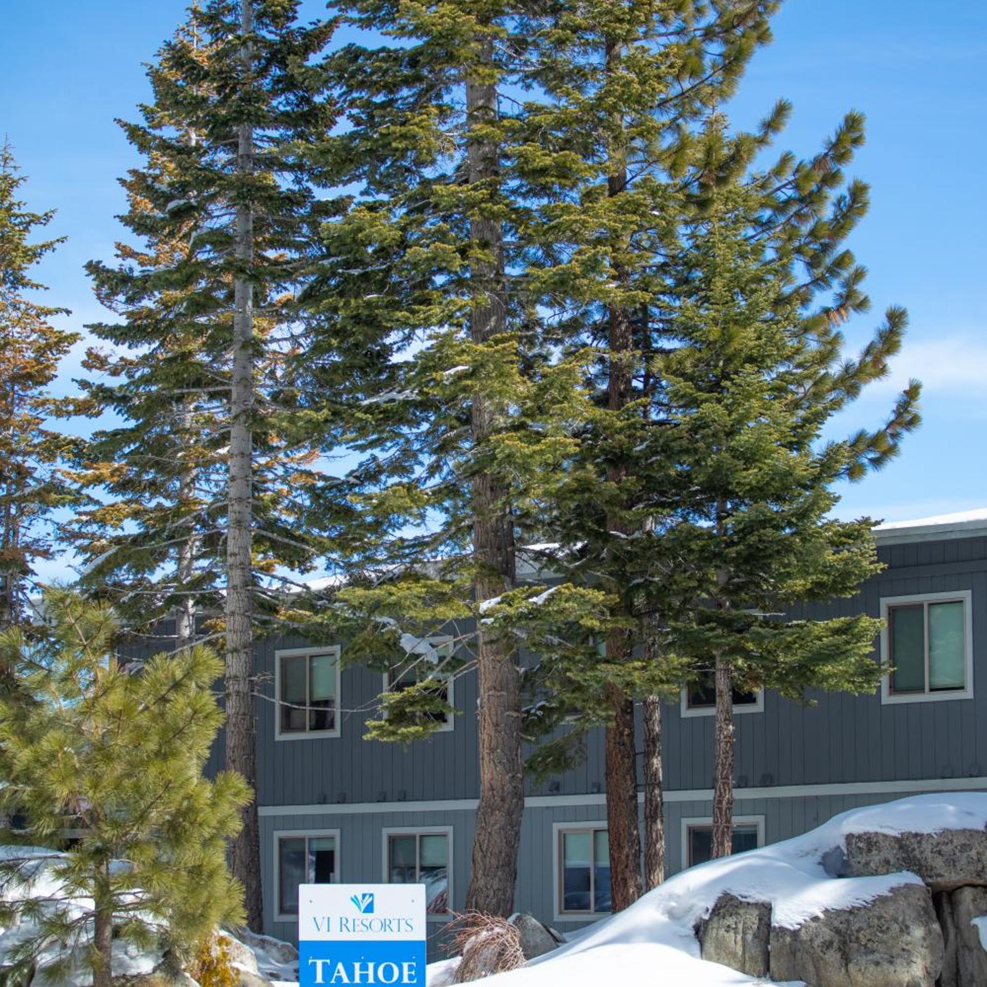 Tahoe Trail 18/20
