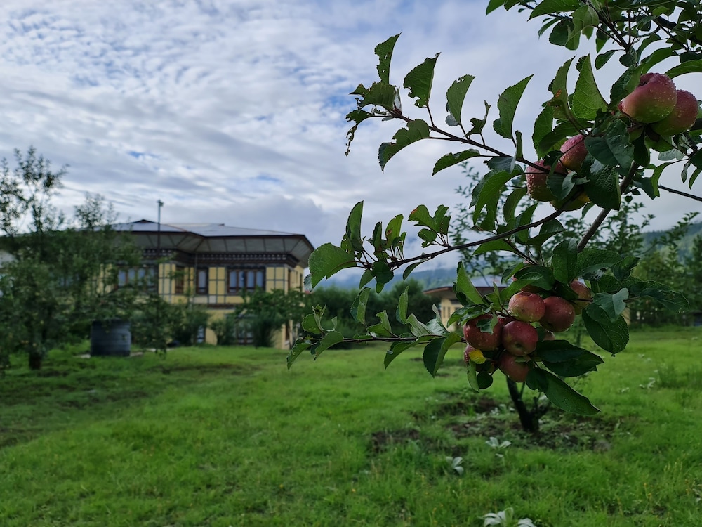 Nivvana Lodge & Homestay 27/31