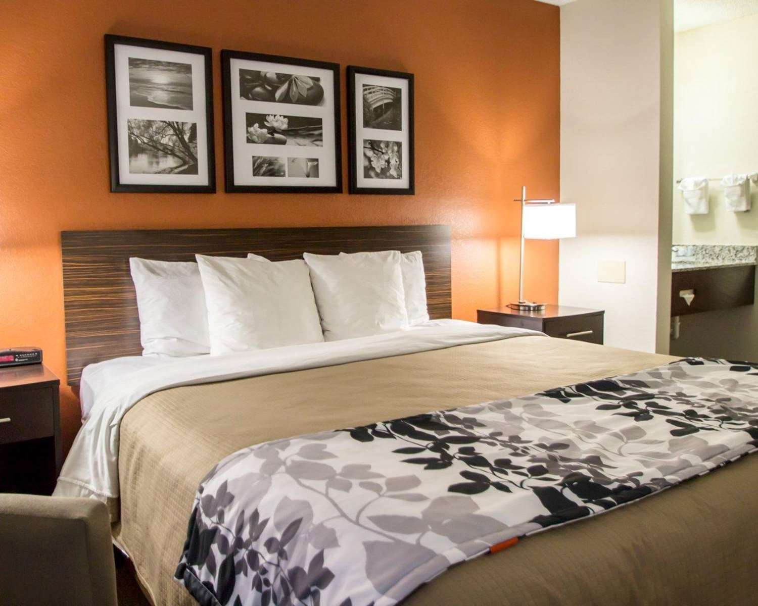 Sleep Inn Ormond Beach - Daytona 14/35