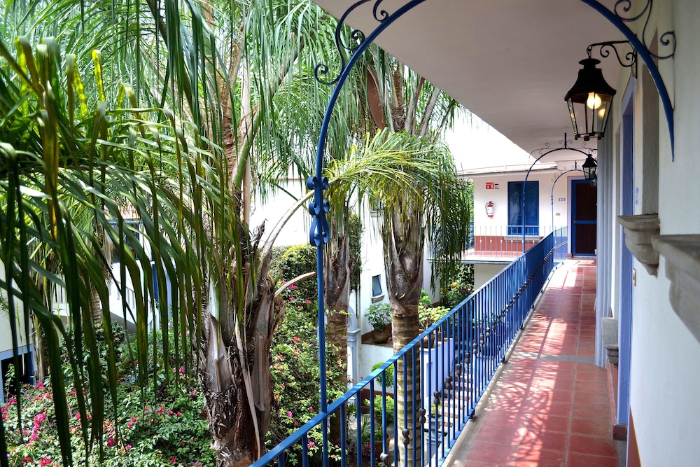 Posada del Cafeto 63/66