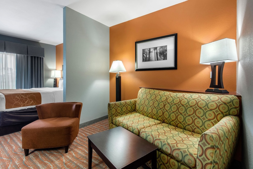 Comfort Suites Jackson I-40 18/47