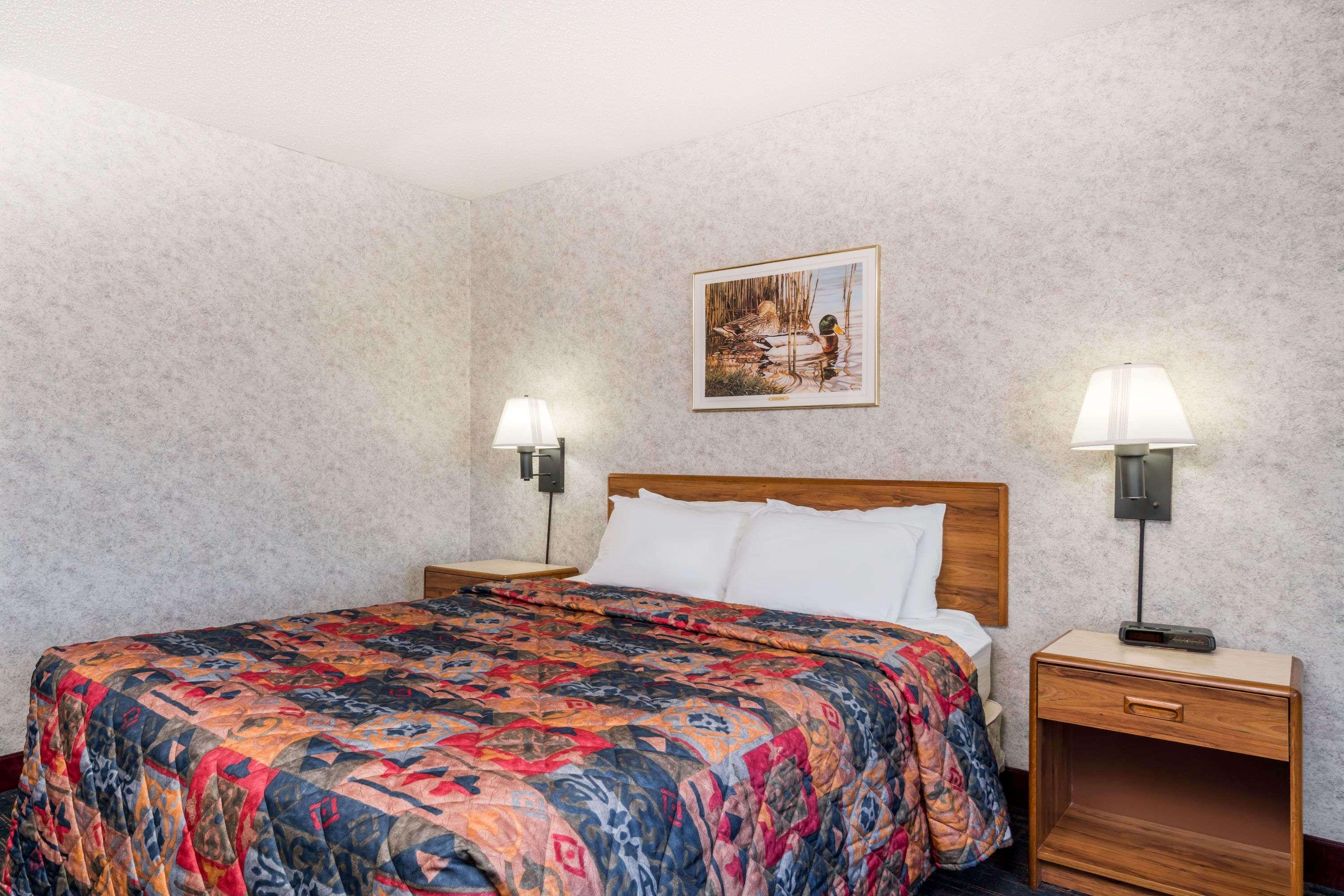 Room, Queen Bed