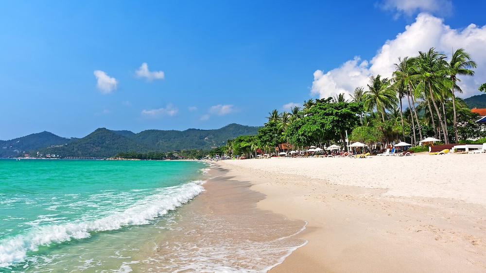 Behind the Scene Hotel Club At Samui 47/62