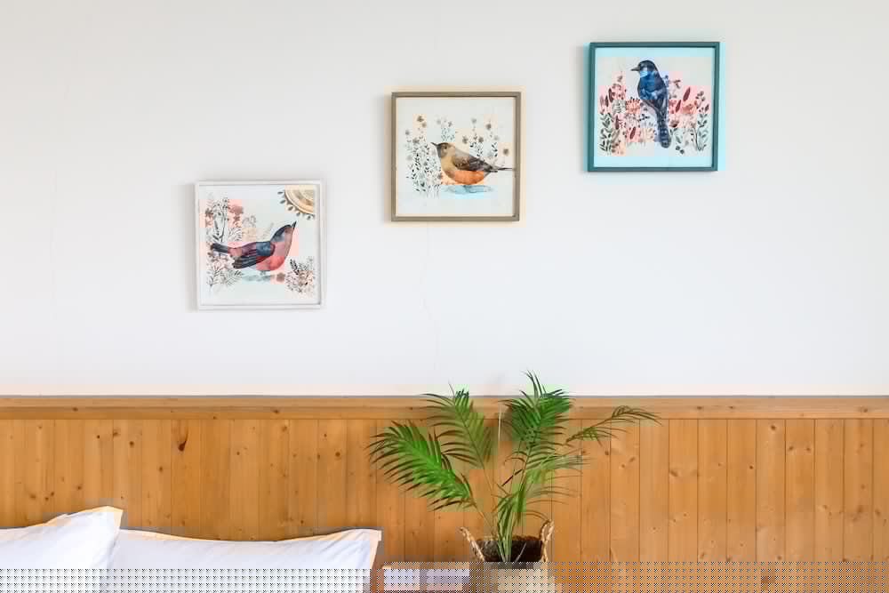 Cozy Green Guest House 49/49
