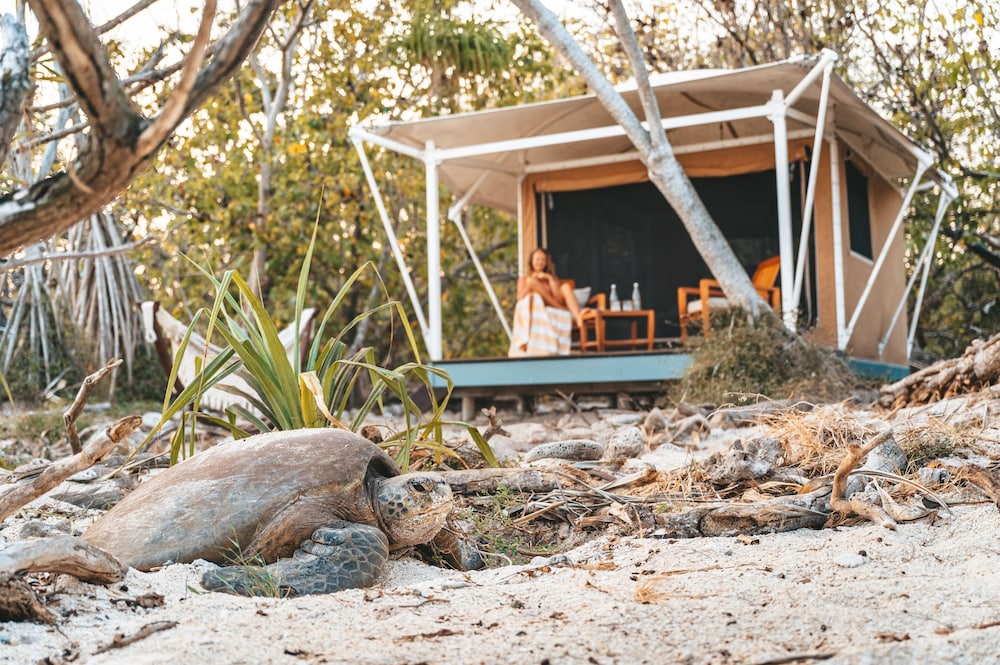 Wilson Island Resort 37/38