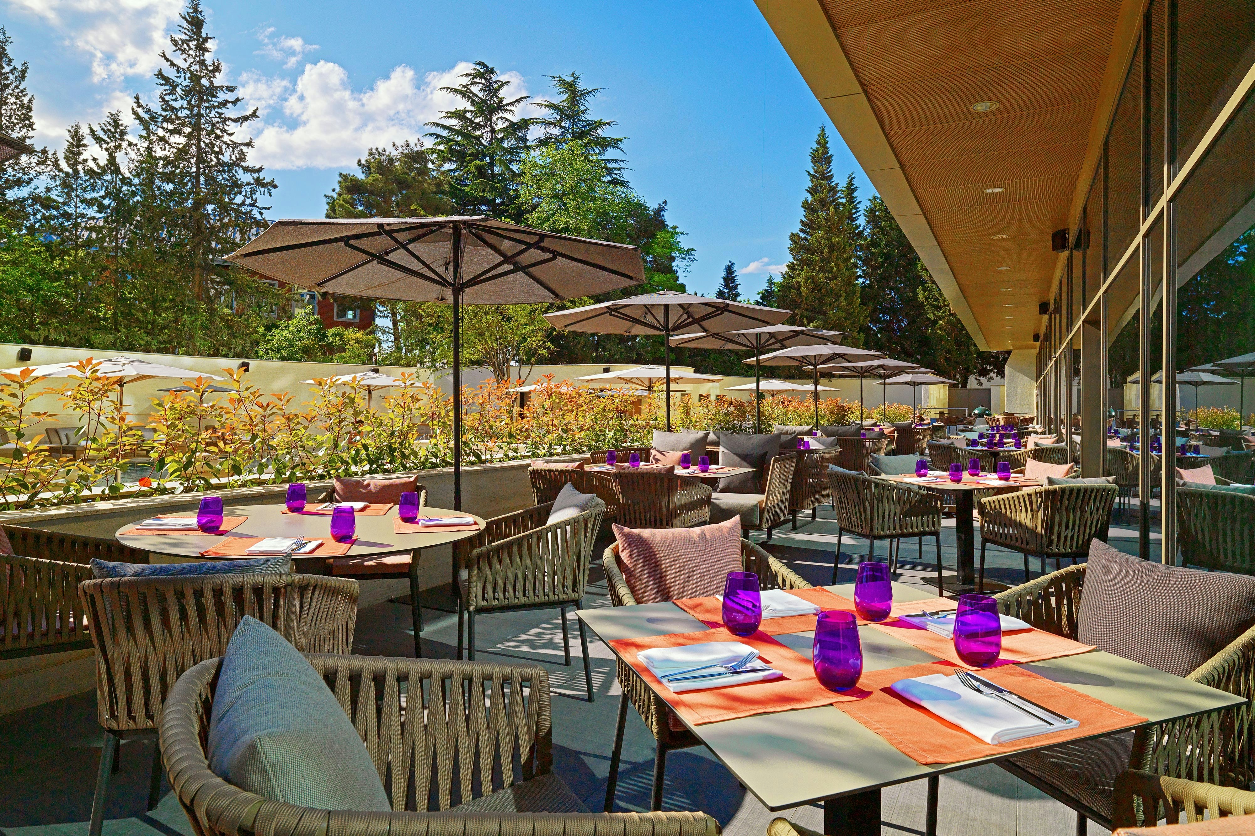 Sheraton Grand Tbilisi Metechi Palace 66/88