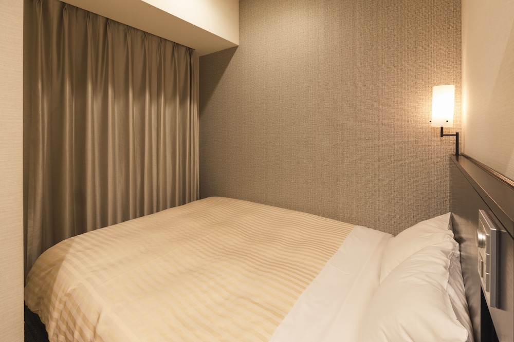 Sotetsu Fresa Inn Shimbashi-Hibiyaguchi 32/50