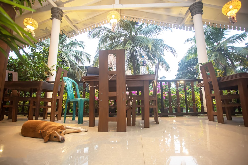 La Villa Guest House 35/50