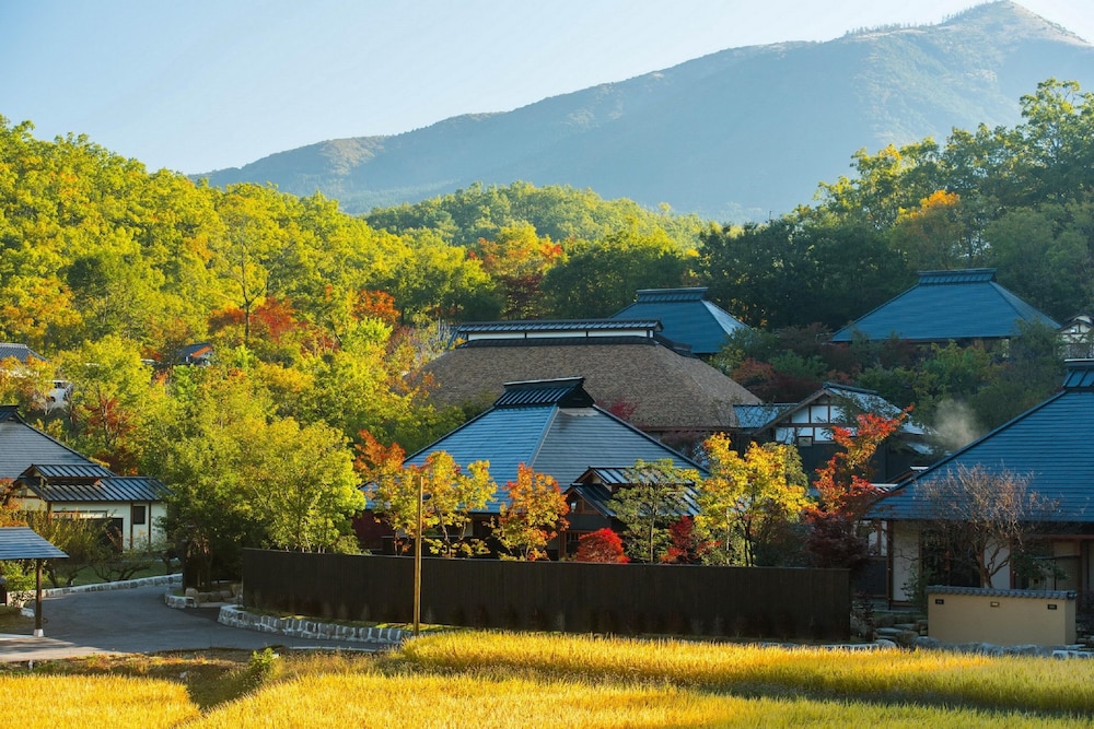 Miyama Sanso 3/38