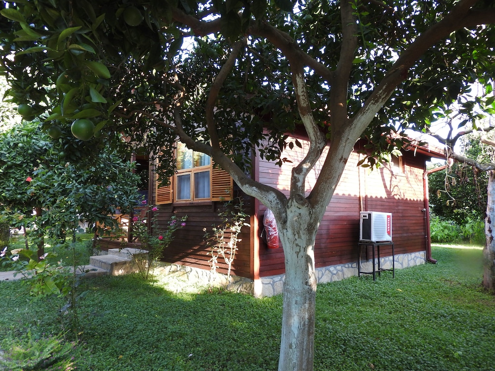 Mercan Bungalow 35/50