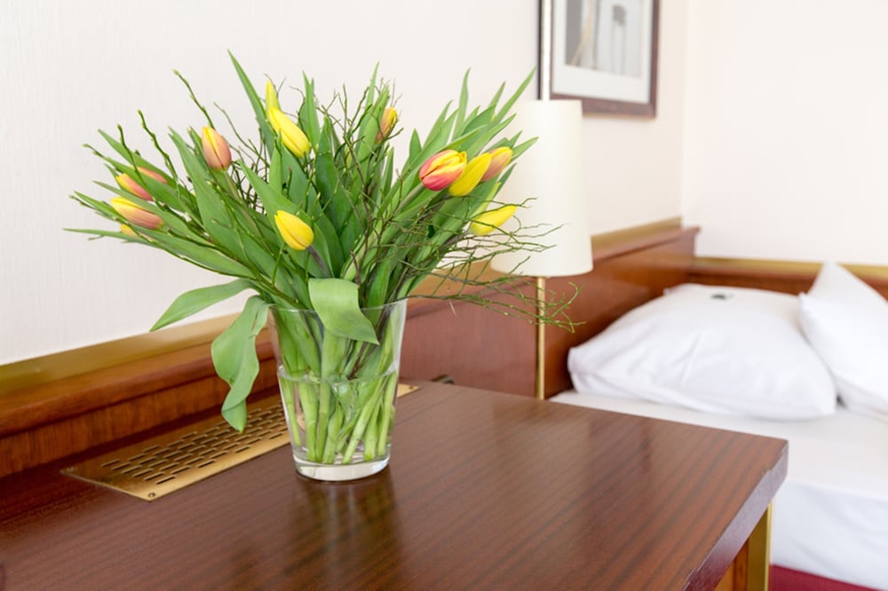 City Hotel Siegen 43/73