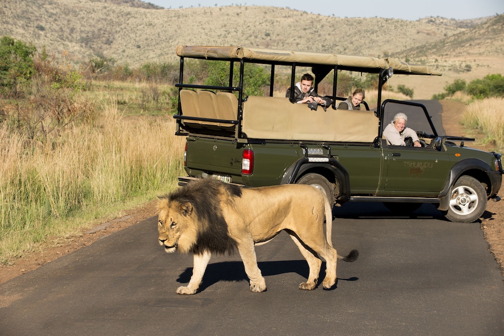 TSHUKUDU BUSH LODGE 40/49