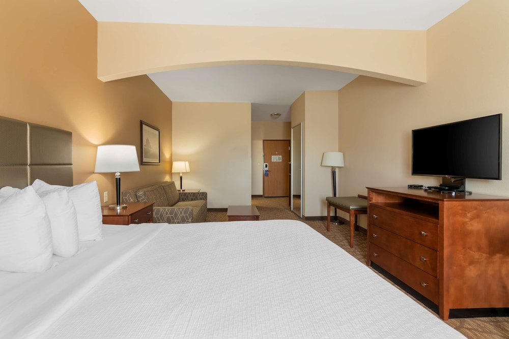 غرفة قياسية بسرير كينج يُسمح فيها بالحيوانات الأليفة، Best Western Plus Butterfield Inn 2/4