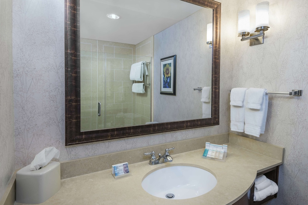Hilton Garden Inn San Antonio At The Rim 16/55
