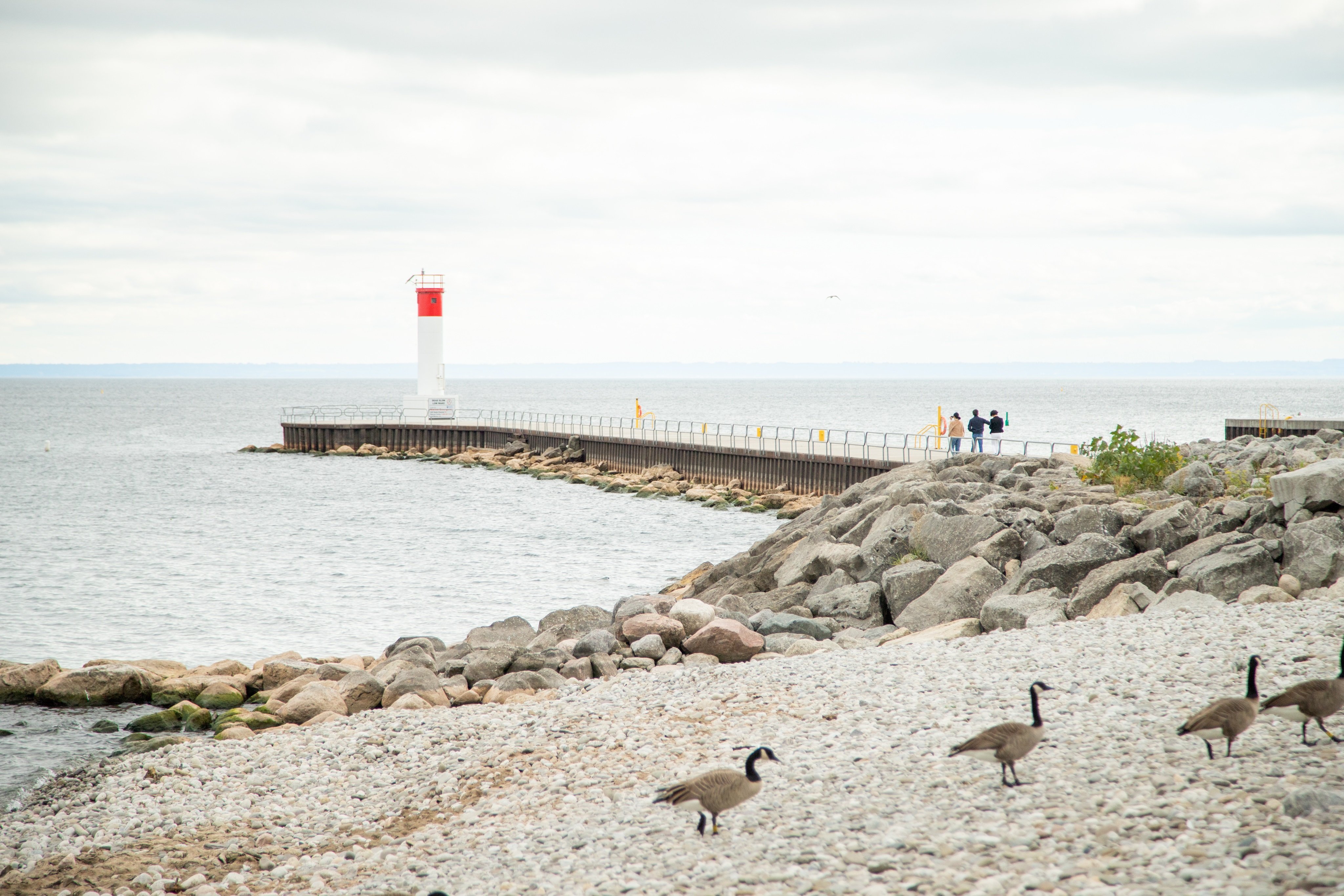 Holiday Inn Hotel Suites Oakville Bronte 70/78