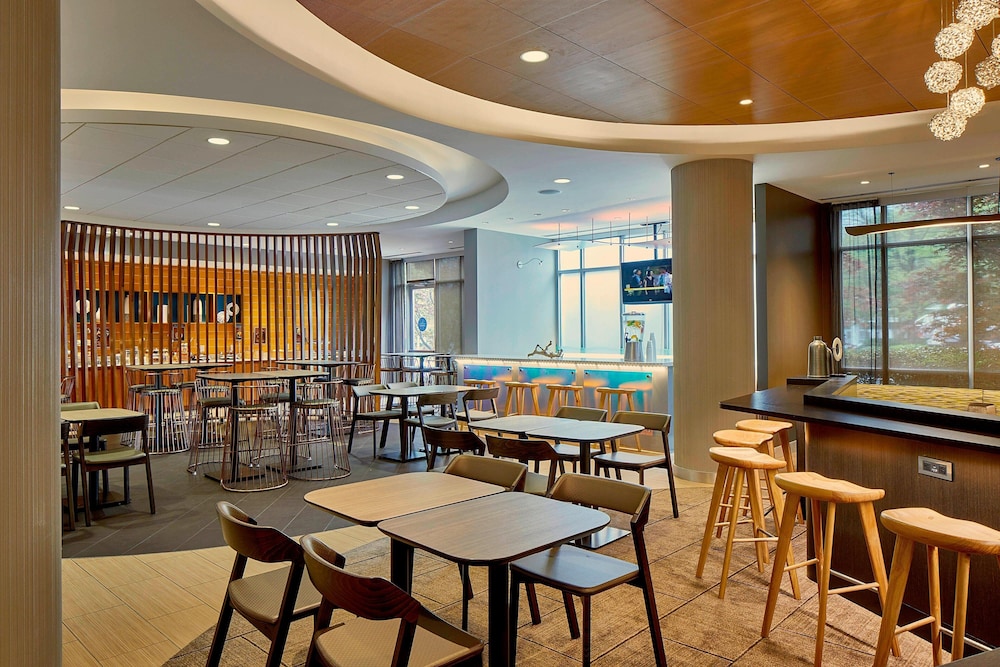 SpringHill Suites by Marriott Atlanta Airport Gateway 32/46