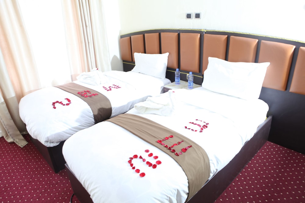 Dib Anbessa Hotel 13/39