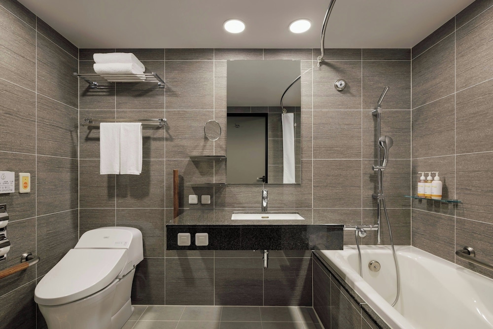 Four Points Flex by Sheraton Osaka Shinsaibashi 42/45