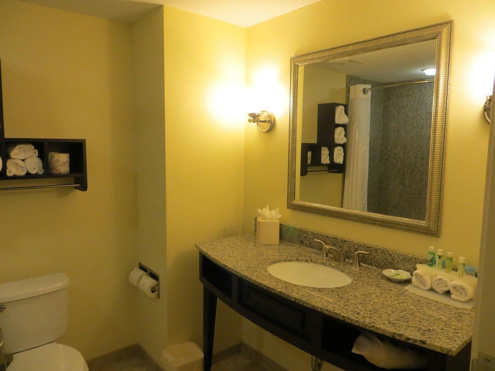 Holiday Inn Express Hotel Suites Saint Augustine North 23/77