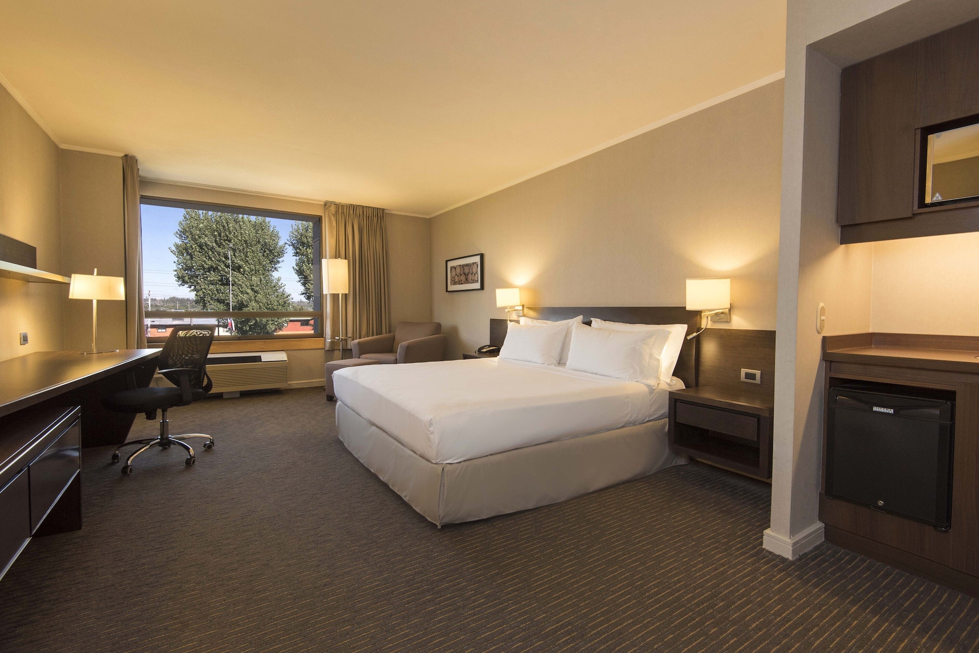 غرفة قياسية بسرير كينج، HOLIDAY INN EXPRESS TEMUCO 4/10