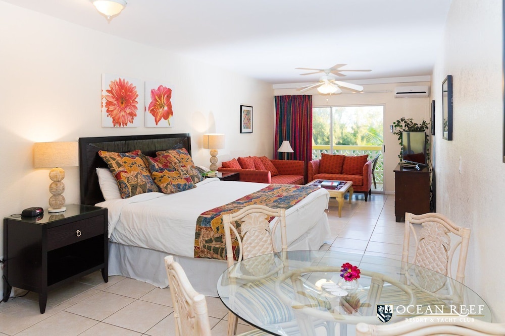 Basic, Studio, Queen Bed