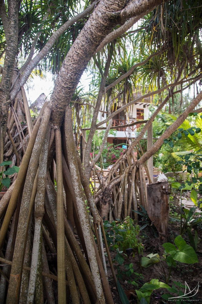 Casa Umoja Guesthouse 44/50